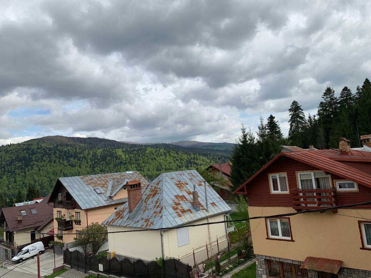 Vila Curcubeu Otel Buşteni Dış mekan fotoğraf