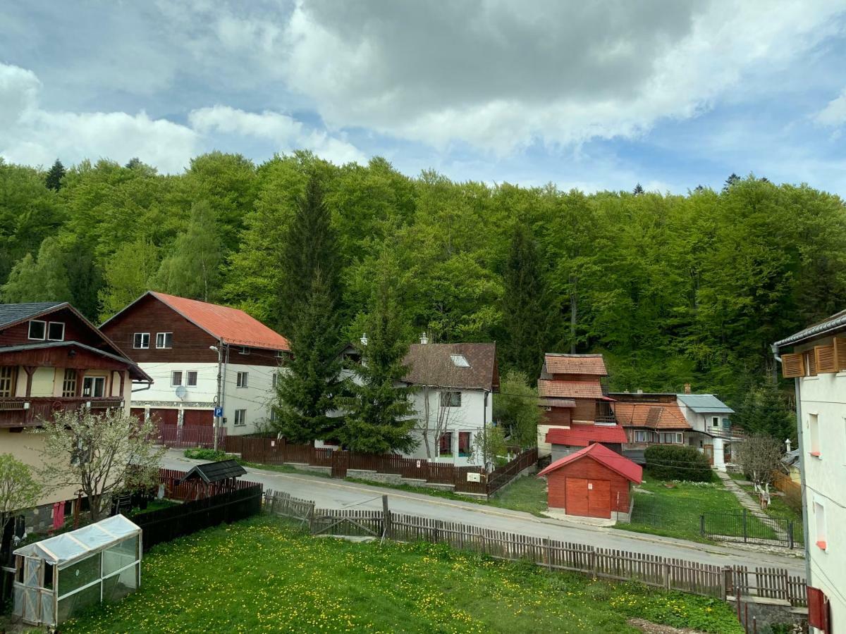 Vila Curcubeu Otel Buşteni Dış mekan fotoğraf