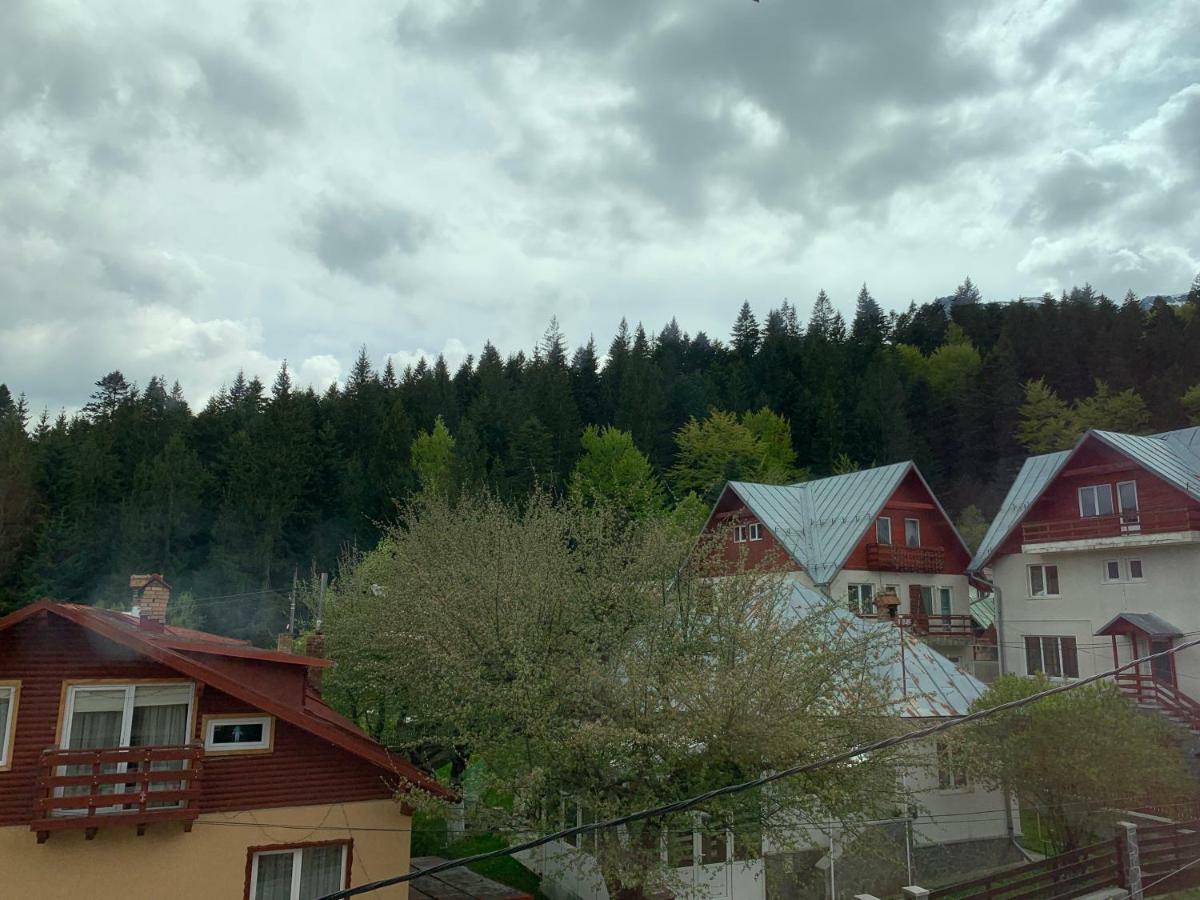 Vila Curcubeu Otel Buşteni Dış mekan fotoğraf