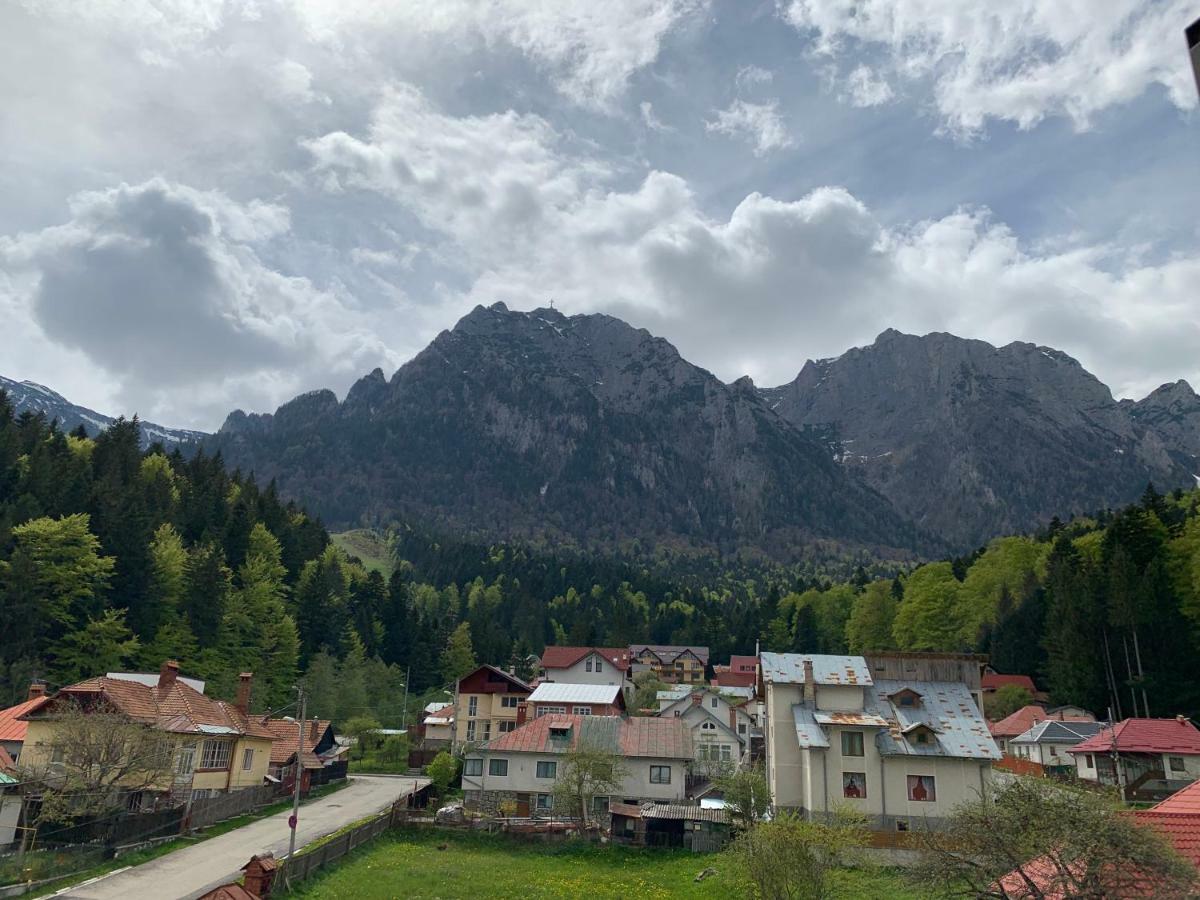 Vila Curcubeu Otel Buşteni Dış mekan fotoğraf