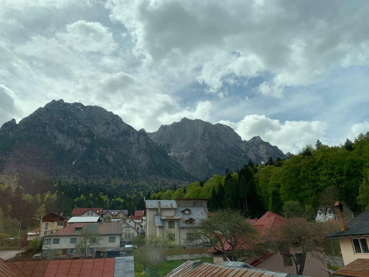 Vila Curcubeu Otel Buşteni Dış mekan fotoğraf